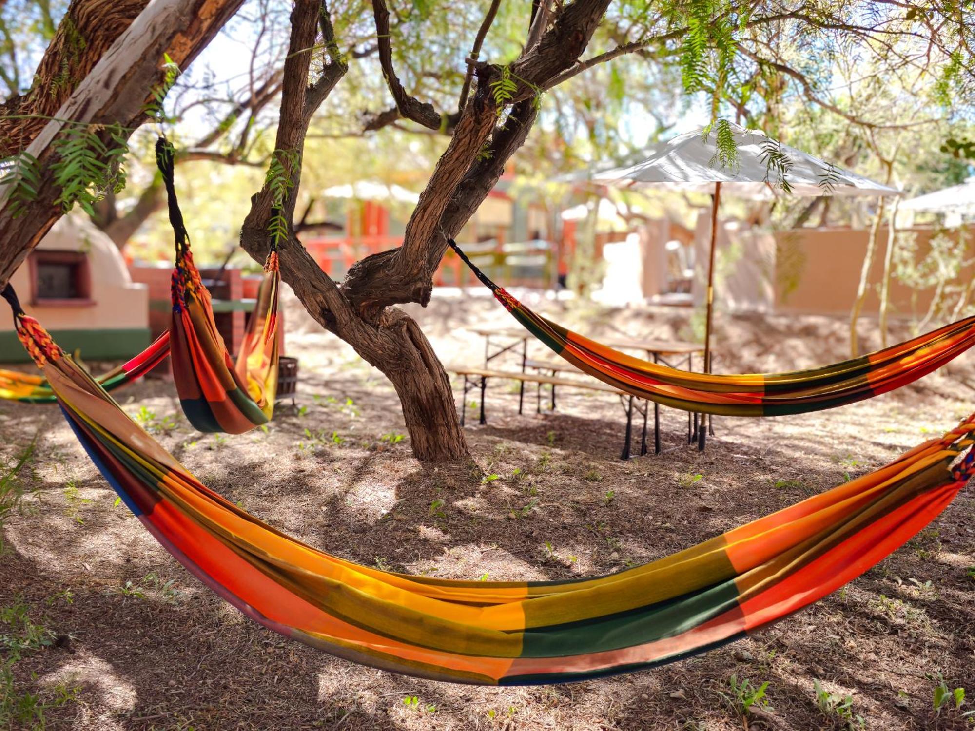 Lodge Ancar Atacama San Pedro de Atacama Eksteriør bilde
