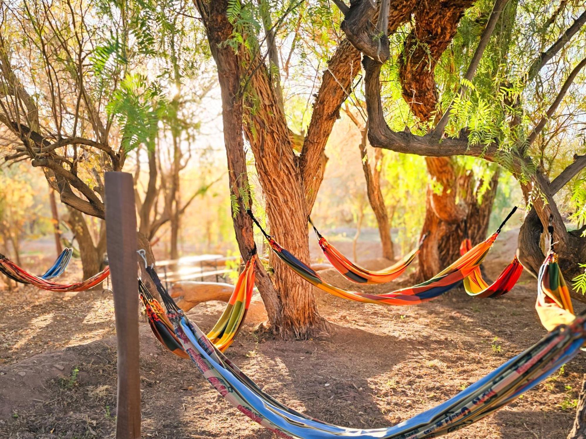Lodge Ancar Atacama San Pedro de Atacama Eksteriør bilde