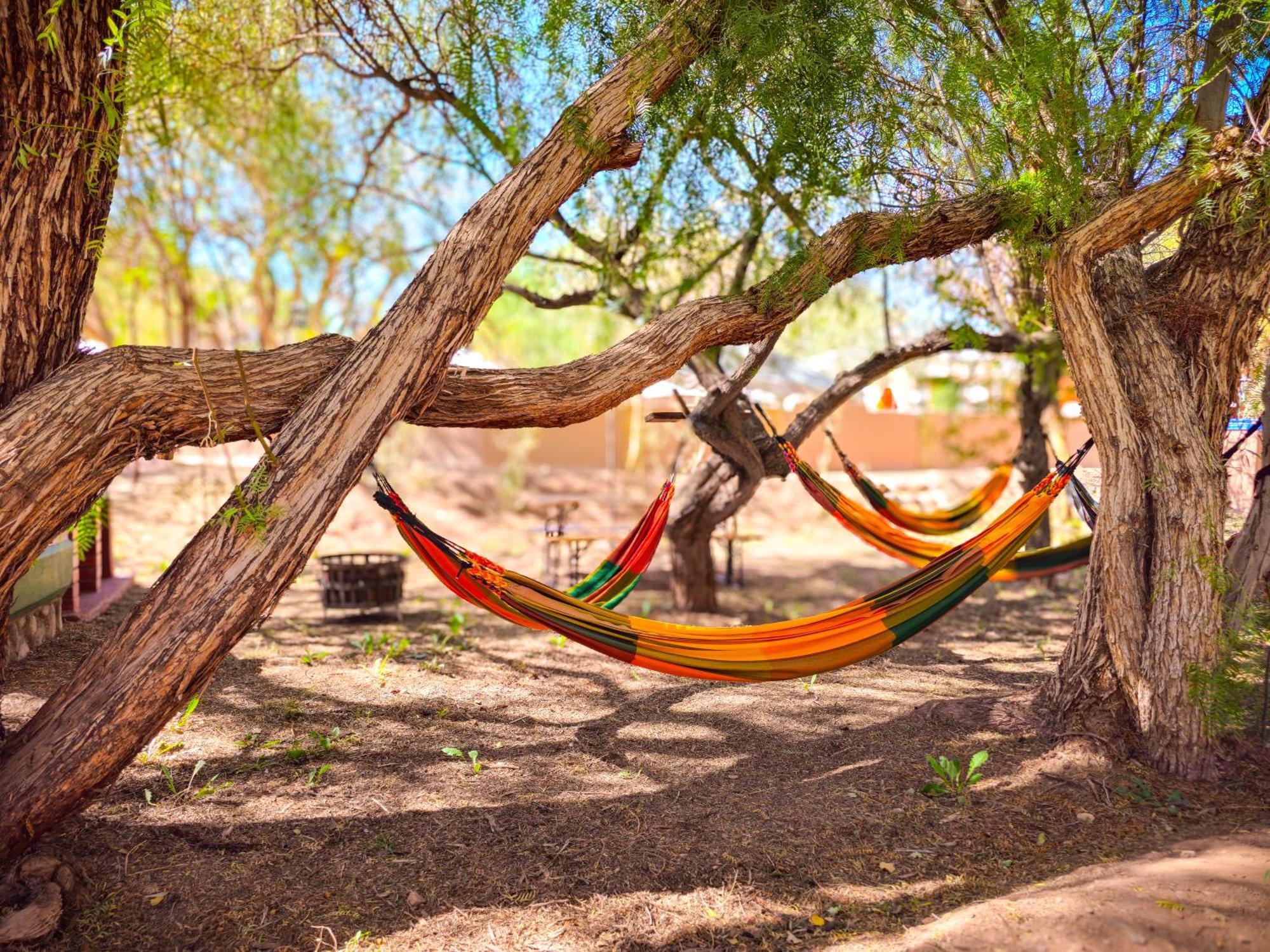Lodge Ancar Atacama San Pedro de Atacama Eksteriør bilde